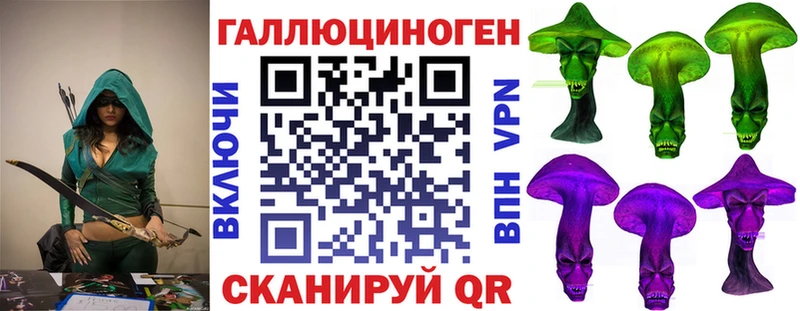 Псилоцибиновые грибы мицелий  где продают наркотики  Дрезна 